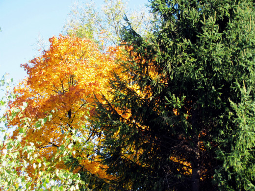 987525 (a): :1920x1440